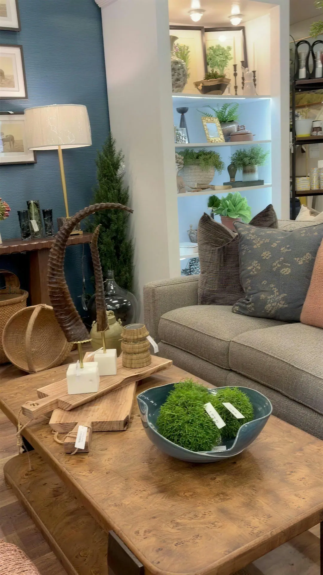 Sofa and burl coffee table in front of a blue gallery wall